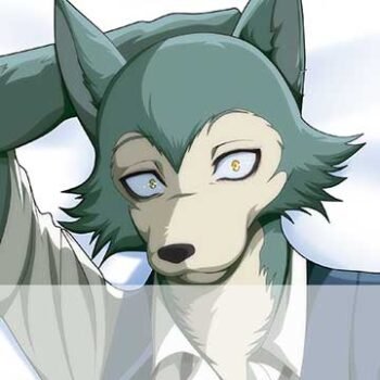 Furry dakimakuras