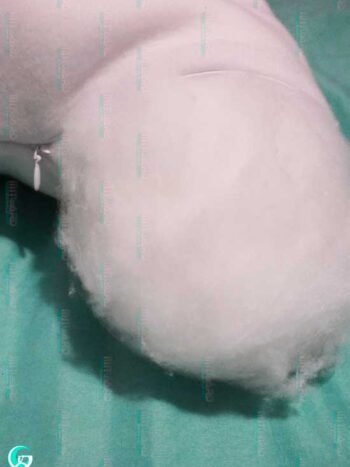 Fluffy Inner Body Pillow Dakimakura - 150x50cm 160x50cm 180x60cm Mitgard Studio