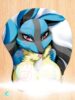 Lucario Mousepad 3D POKEMON Mitgard-Knight