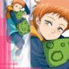 THE SEVEN DEADLY SINS Fairy King Body pillow case Dakimakura - 3